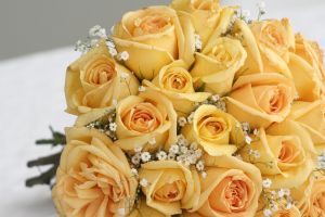 yellow-roses-2-977148-m